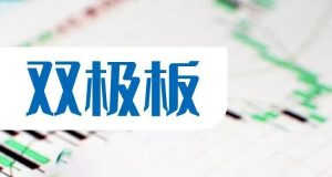 双极板概念股